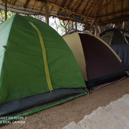 Drunken Monkey Camping Site Otel Hampi Dış mekan fotoğraf