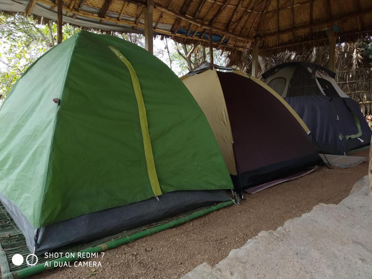 Drunken Monkey Camping Site Otel Hampi Dış mekan fotoğraf