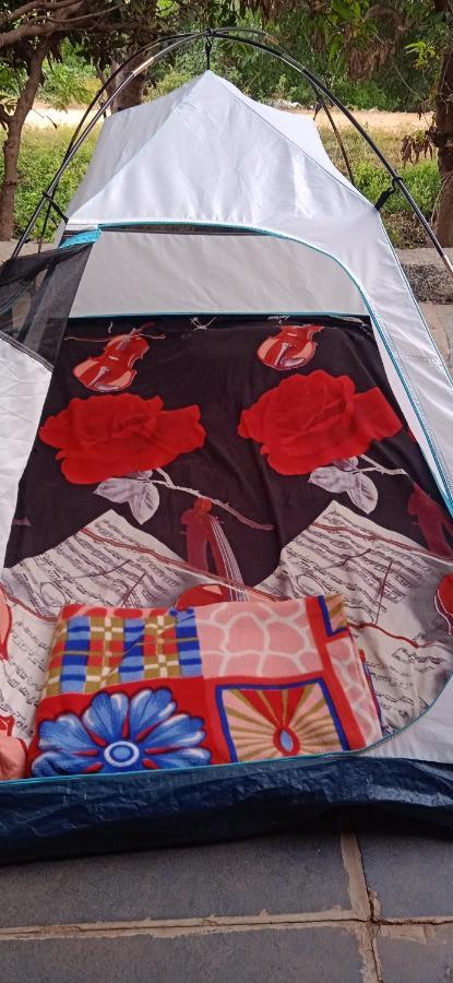 Drunken Monkey Camping Site Otel Hampi Dış mekan fotoğraf